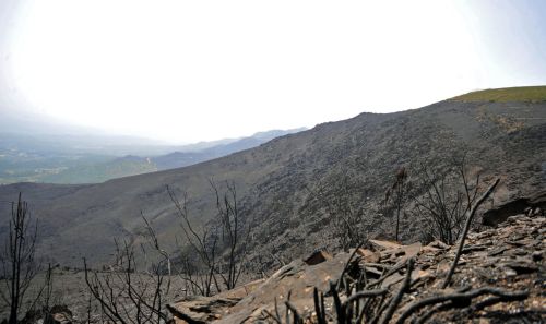 «Ανασαίνει» η Μόσχα μετά την απομάκρυνση του νέφους