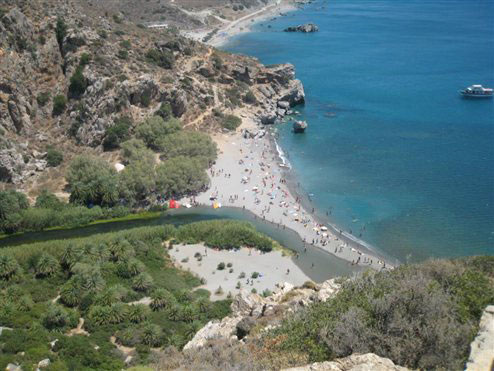 Ανάγκη για επείγοντα μέτρα προστασίας του καμένου φοινικοδάσους του Πρέβελη ζητά η WWF