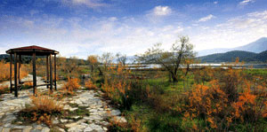 Ψήφτα Τροιζηνίας: Ένας σπάνιος υδροβιότοπος αναδεικνύεται