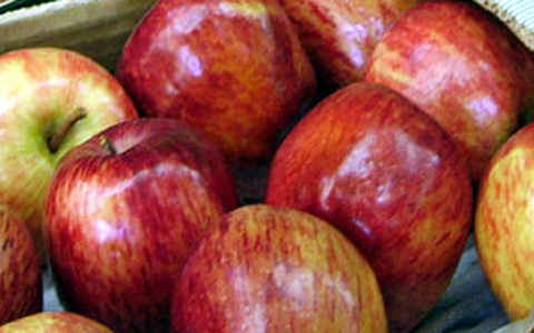 Η «Γιορτή του Μήλου» στην Αγιά Λάρισας