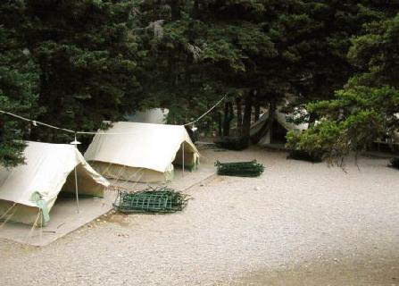 Παρέμβαση εισαγγελέα για αλλοιωμένα κρέατα σε παιδικές κατασκηνώσεις της Αστυνομίας