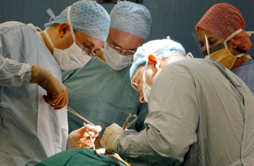 Νέα «δεξαμενή» μοσχευμάτων νεφρού αποκαλύπτουν Βρετανοί επιστήμονες