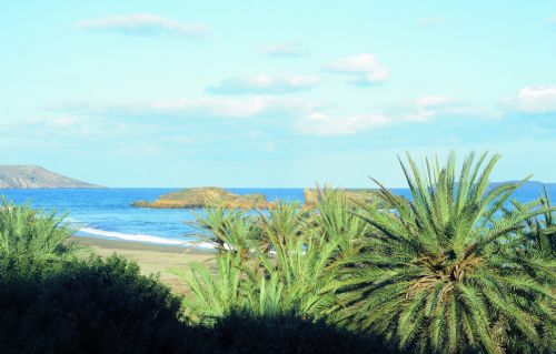 Αναμμένο στουπί βρέθηκε στο φοινικόδασος του Βάι