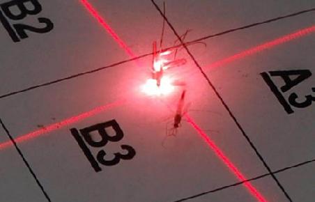 Ιός του Δυτικού Νείλου – Τι πρέπει να προσέξουμε;