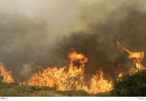 Πυρκαγιές στους νομούς Φθιώτιδας και Αιτωλοακαρνανίας