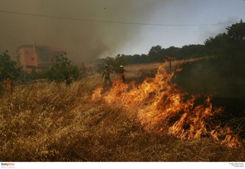 Υπό έλεγχο πυρκαγιές κοντά σε Κινέττα και Αμφίκλεια