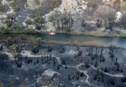 «Μπαλάκι» οι ευθύνες για την πυρανίχνευση στο φοινικόδασος της Πρέβελης