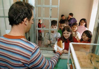 Το «μενού» των σχολικών κυλικείων