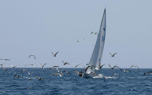 Δύο και… δύο για την ελληνική ομάδα στο Παγκόσμιο πρωτάθλημα Match racing