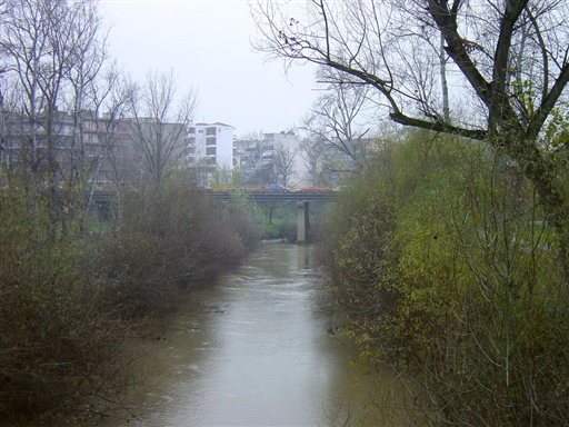 Ο Σύλλογος Φίλων του Πηνειού και του Παραποτάμιου Πολιτισμού