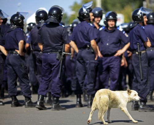 Σε κρίση η ρουμανική κυβέρνηση υπό το βάρος των μέτρων λιτότητας
