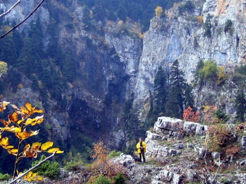 Πεζοπορώντας στον Παρνασσό