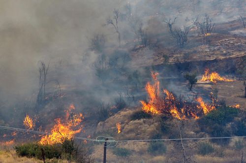 Υπό έλεγχο η πυρκαγιά στον περιφερειακό Αιγάλεω, υπό μερικό έλεγχο η φωτιά στο Μεσολόγγι