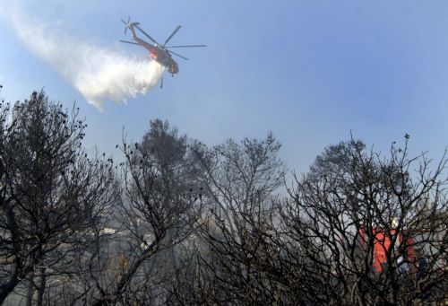 Πυρκαγιά σε δασική έκταση στη Φραγκαβίλα Αμαλιάδας