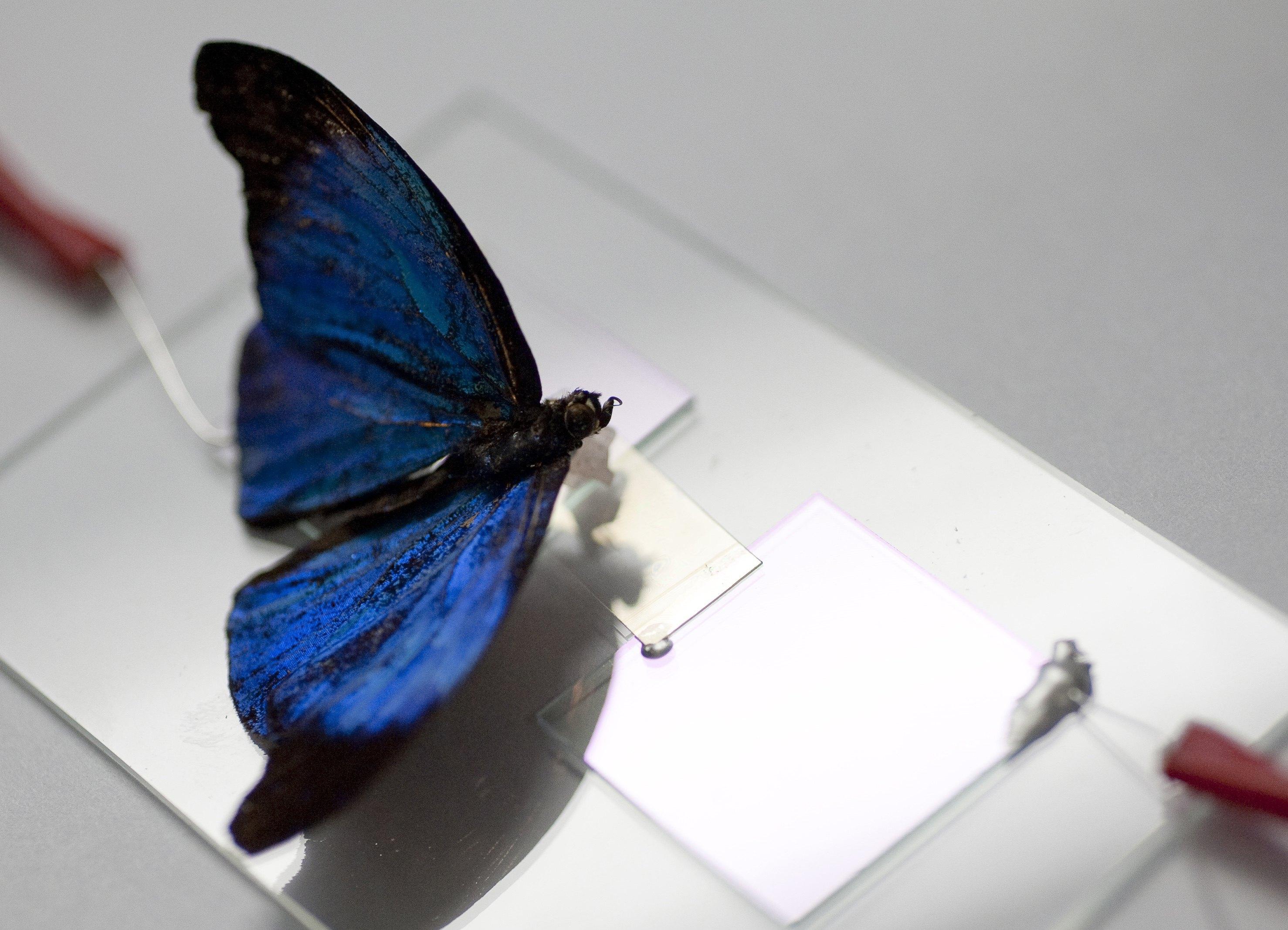 Τεχνητό δέρμα χαρίζει στα ρομπότ αίσθηση της αφής