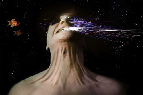 Σινεμά για το Περιβάλλον, από το Ίδρυμα Μιχάλης Κακογιάννης στα μέσα Σεπτεμβρίου