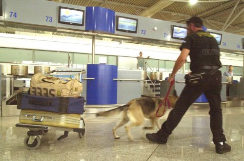 Αθώοι δύο νεαροί Αμερικανοί στις αποσκευές των οποίων βρέθηκαν έξι ανθρώπινα κρανία