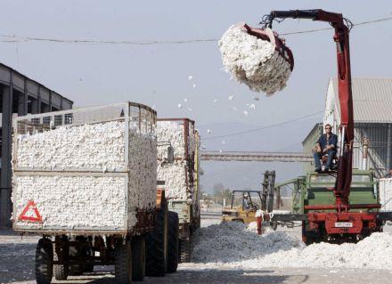 Ελάχιστη τιμή 50 λεπτά το κιλό για το βαμβάκι, ανακοίνωσε ο Κ.Σκανδαλίδης