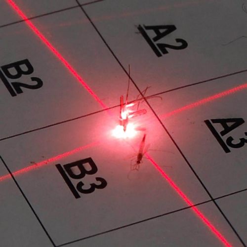 Ψεκασμοί κατά των κουνουπιών στη Θεσσαλονίκη για τον ιό του Δυτικού Νείλου