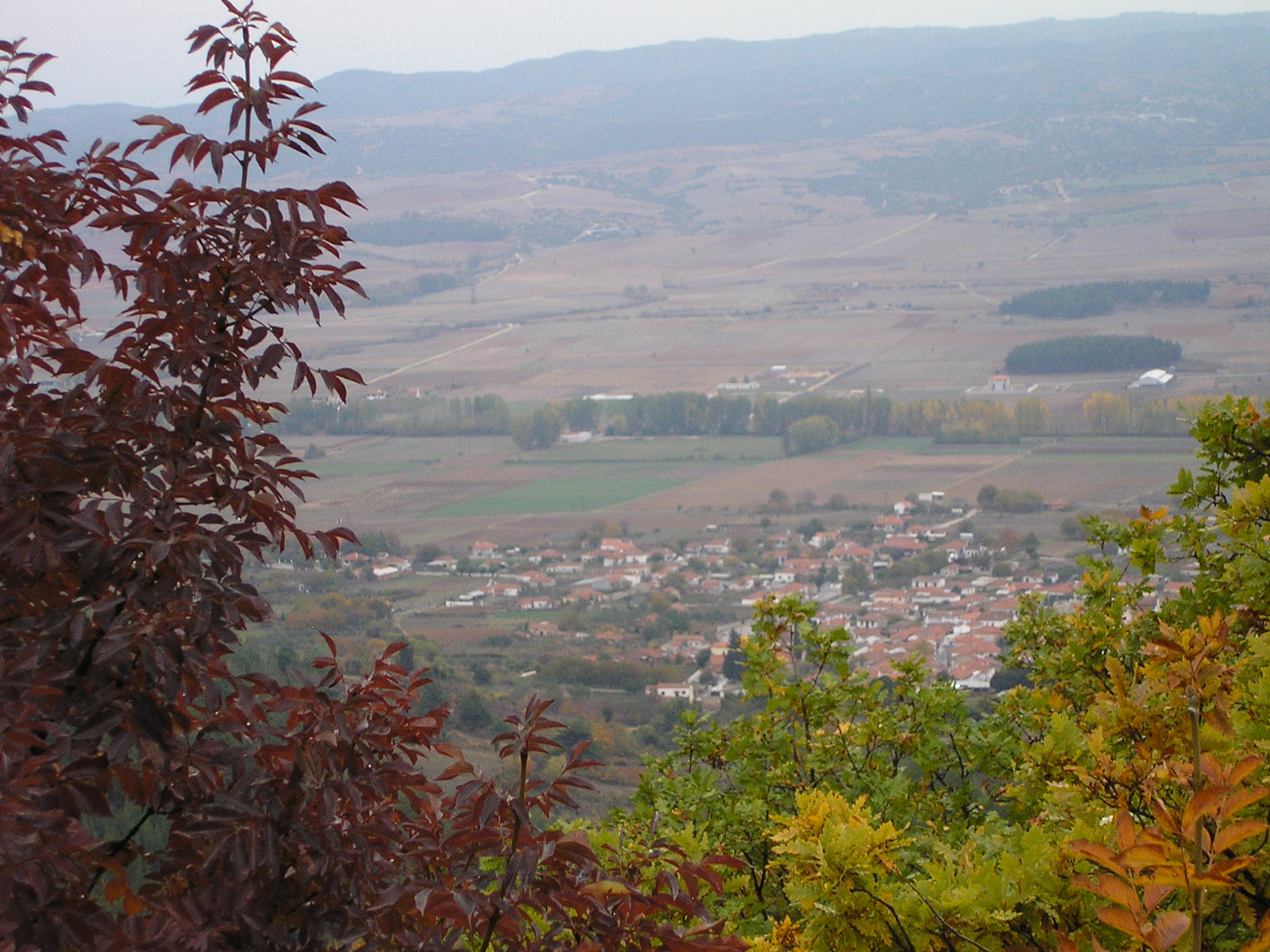 Ο Πολιτιστικός Σύλλογος Αδάμ