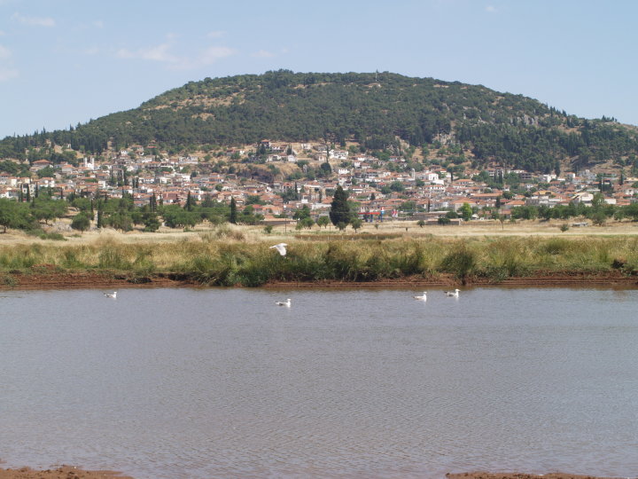 Ο Πολιτιστικός Σύλλογος Δεσφίνας «Η Πρόοδος»