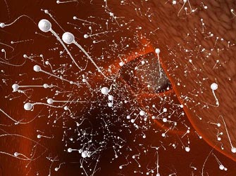 Ανακαλύφθηκε γονίδιο που σχετίζεται με την ανδρική υπογονιμότητα