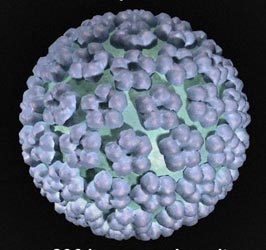 Οκτώ στελέχη του ιού HPV προκαλούν καρκίνο του τραχήλου της μήτρας