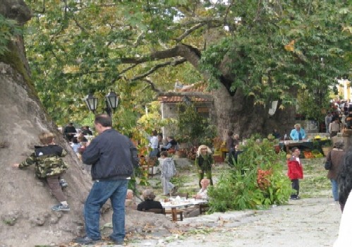 Γιορτή κάστανου 2010 στην Άρνα