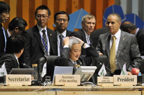 Σε συμφωνία κατέληξαν τα Ηνωμένα Έθνη για την προστασία της βιοποικιλότητας