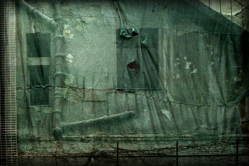 Έργα πέντε φωτογράφων από τη PhotoBiennale παρουσιάζονται στο Τορίνο