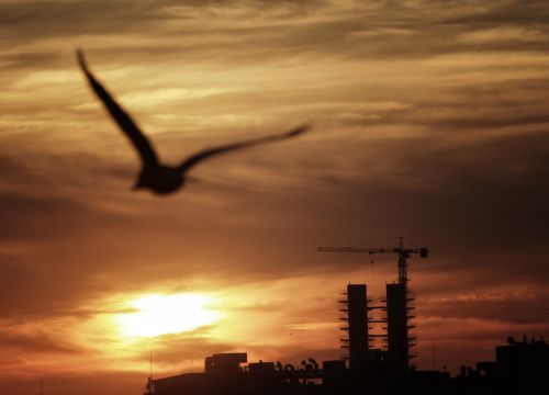 Κεφάλαια ύψους 38 δισ. ευρώ θα χρειασθεί η Ρουμανία το 2011, εκτιμά το ΔΝΤ