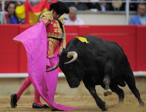 Απέρριψε η ισπανική Γερουσία πρόταση να κηρυχθούν οι ταυρομαχίες πολιτιστική κληρονομιά