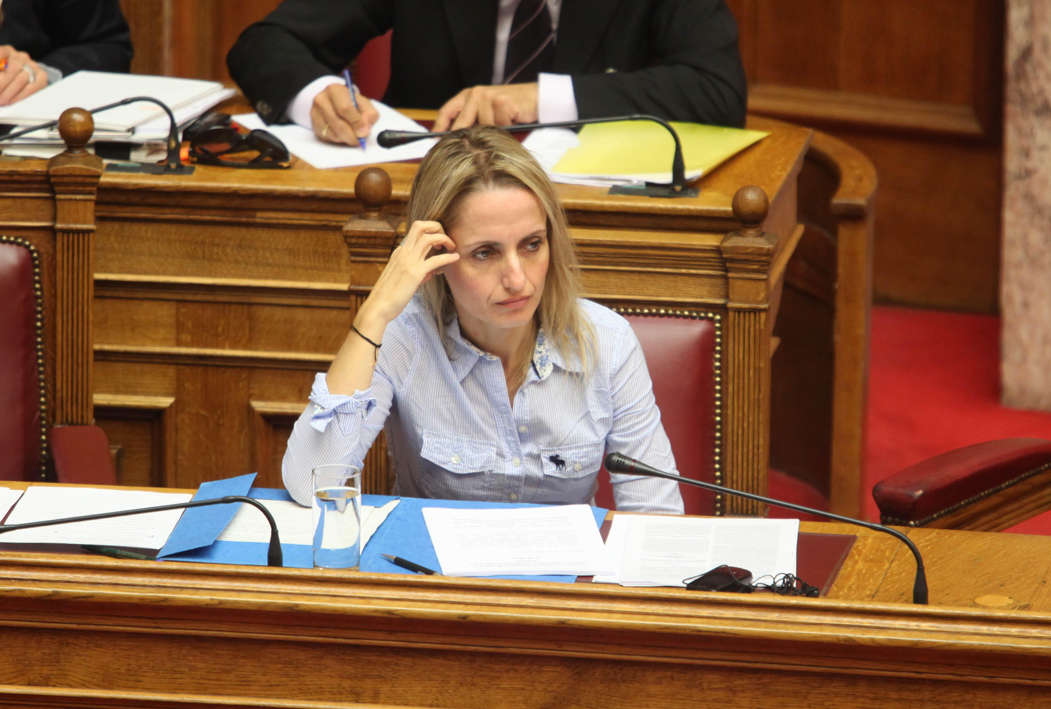 Ψηφίστηκε επί της αρχής το νομοσχέδιο για το Πράσινο Ταμείο και τους Δασικούς Χάρτες