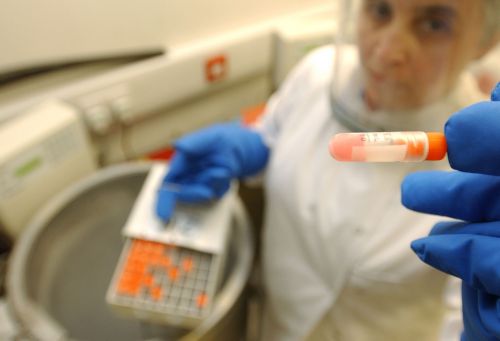 Πρώτη δοκιμή εμβρυακών βλαστοκυττάρων σε ανθρώπους