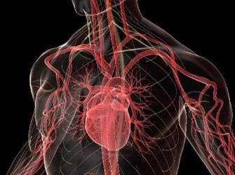 Επιτυχημένη αντιμετώπιση της «τρύπας» στην καρδιά στο Νοσοκομείο Αλεξανδρούπολης