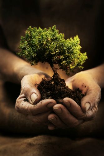 Διαδραστικό θέαμα για το περιβάλλον παρουσιάζει το Cinema Park