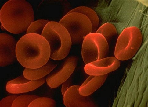 Μοριακός χειρισμός μετατρέπει το δέρμα απευθείας σε αίμα