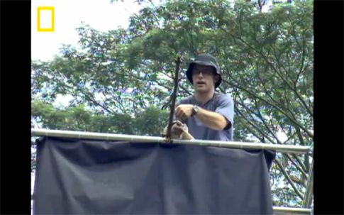 Το αμερικανικό Πεντάγωνο αναζητά το μυστικό του ιπτάμενου φιδιού