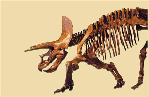 Στα Ίχνη των Δεινοσαύρων… – Παιδικό εργαστήρι Μουσείου Γουλανδρή Φυσικής Ιστορίας