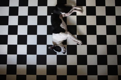 Τον Νοέμβριο κορυφώνεται το Athens Photo Festival