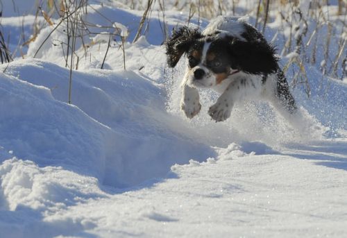 Νωρίτερα από άλλες χρονιές έπεσαν τα πρώτα χιόνια στη Βρετανία