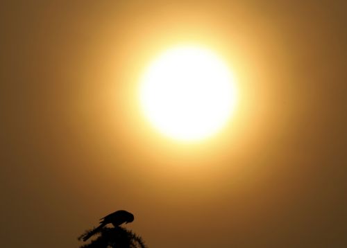 Ισπανίδα διεκδικεί την… κυριότητα του Ήλιου