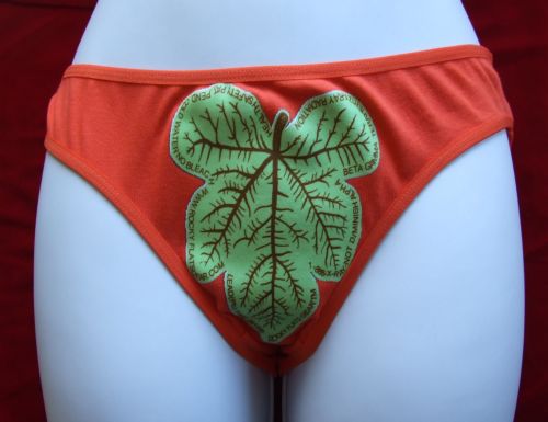 Με «τσίγκινα» εσώρουχα οι αεροπορικές μετακινήσεις στις ΗΠΑ