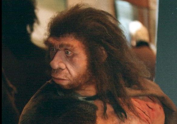 Οι Νεάντερταλ «ήταν πιο γυναικάδες από τους σύγχρονους ανθρώπους»