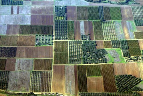 Επιστροφή αγροτικών επιδοτήσεων ύψους 350 εκατ. ευρώ ζητεί η Κομισιόν