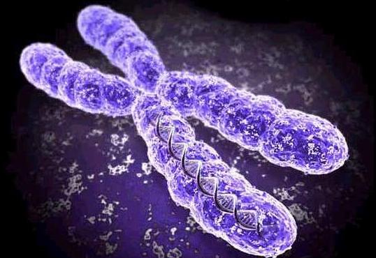 Η πρόωρη γήρανση «είναι δυνατό να αναστραφεί με την τελομεράση»