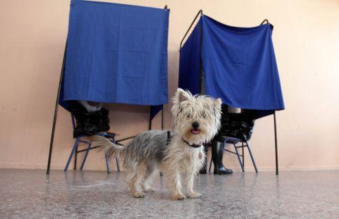 Πρόβλεψη νίκης σε Γ.Σγουρό, θρίλερ σε Αθήνα, Πειραιά και Θεσσαλονίκη δίνουν οι εκτιμήσεις ψήφου