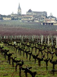 Νέα έρευνα συνδέει τα παρασιτοκτόνα με αυξημένο κίνδυνο άνοιας και νόσου Αλτσχάιμερ