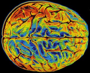 Συνδυασμός διαγνωστικών εξετάσων, συντελεί σε πρώιμο εντοπισμό της νόσου Αλτσχάιμερ