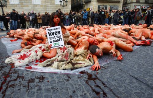 Διαμαρτυρία ακτιβιστών στη Βαρκελώνη για τα (καταπατημένα) δικαιώματα των ζώων